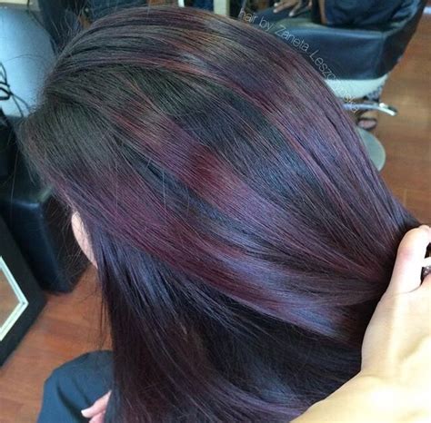 51 Top Pictures Plum Highlights On Black Hair 24 Gorgeous Examples Of