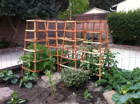 New Tomato Trellises Tomato Trellis Yard Design Diy Garden