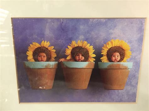 Anne Geddes Sunflower Babies Print Matted And Framed In 9 X 10 34