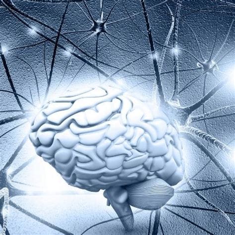 neuroplasticity 8 ways to rewire your brain edublox online tutor