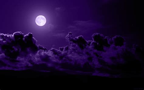 Purple Screensavers And Wallpaper 67 Images