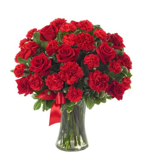 Red Roses And Carnations Bouquet Floristscom