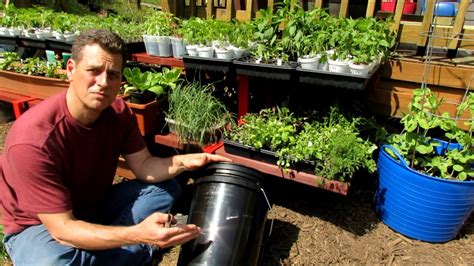 Setting Up A 5 Gallon Container For Gardening Line It