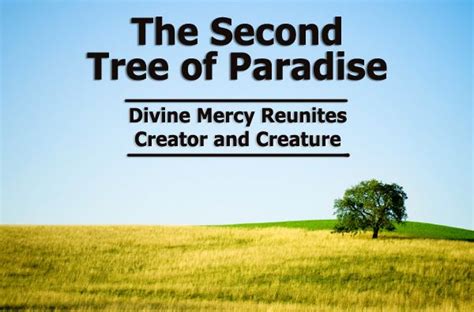 The Second Tree Of Paradise The Divine Mercy