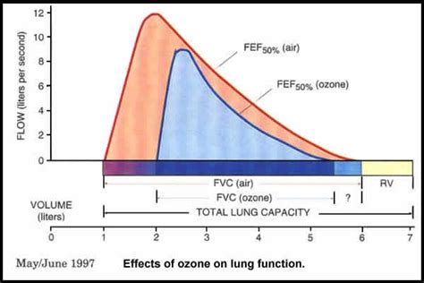 Health Effects Of Ozone In The General Population Ozone And Your