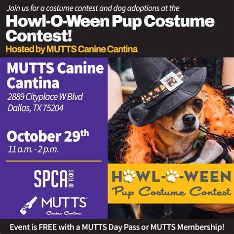 Spca Of Texas Howl O Ween Pup Costume Contest At Mutts Canine Cantina