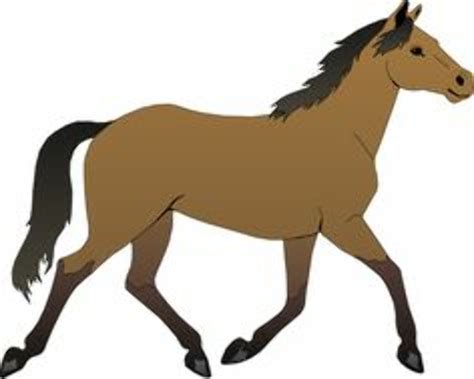Download High Quality Horse Clipart Gallop Transparent Png Images Art