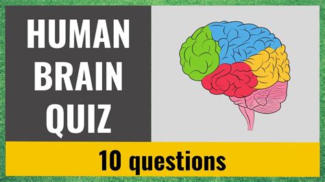 The Human Brain Quiz Test Your Knowledge 10 Trivia Questions Youtube