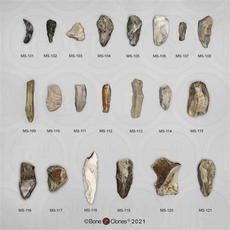 Set Of 21 Neanderthal Tools Bone Clones Inc Osteological