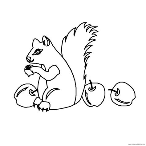 Squirrel Coloring Sheets Animal Coloring Pages Printable 2021 4327