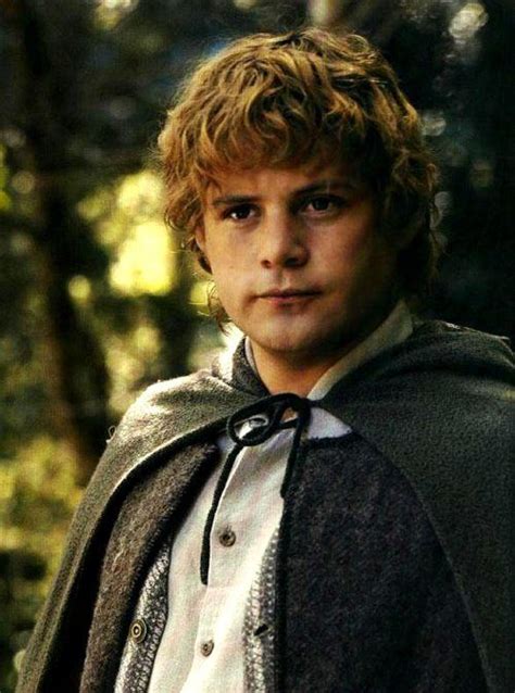 Image Samwise Gamgee Profile The One Wiki To Rule Them All