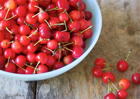 Some tuna now and then probably won't hurt. Can Dogs Eat Cherries? 5 Health Benefits & Side Effects