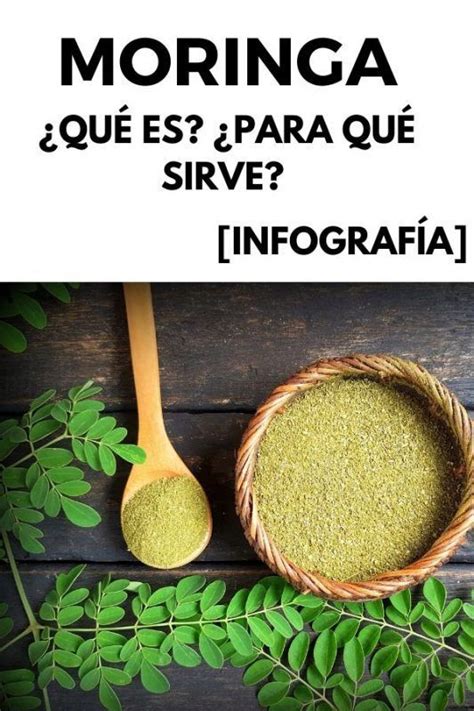 Moringa ¿qué Es ¿para Qué Sirve InfografÍa