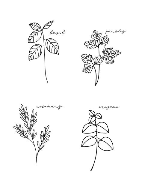 Free Printable Herb Coloring Pages Coloring Pages