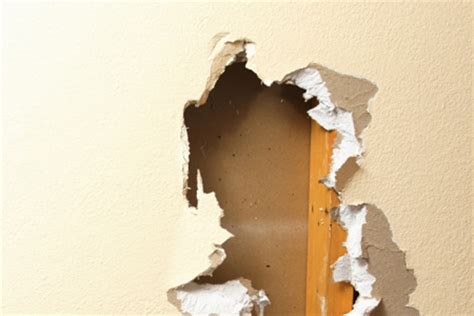 Repairing large holes in drywall—anything over 6 or 8 inches—is different from repairing a small hole in drywall. How to Patch Holes In Drywall | DIY: True Value Projects