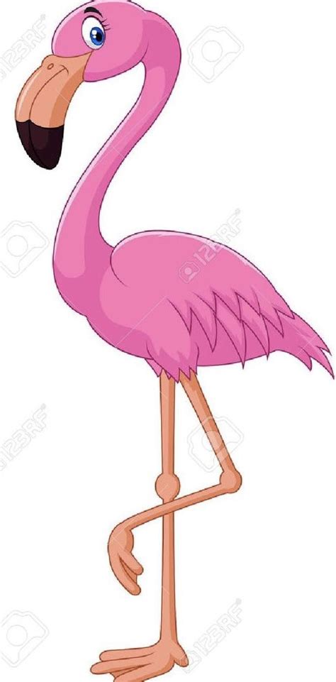 Pin By Rana On فلامنكو Flamingo Clip Art Bird Clipart