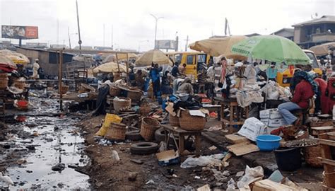 46m Nigerians Practice Open Defecation Says 2019 Wash Survey Businessday Ng