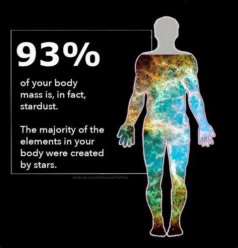 Science Human Bodies Stardust Body ♡ Pinterest