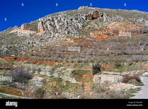 Mountain Road Niha Bekaa Valley Lebanon Stock Photo Alamy