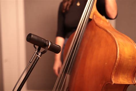 How To Record Double Bass And Cello With The Ku5a Aea Ribbon Mics