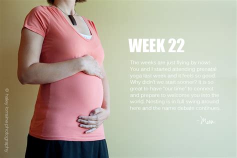 22 Weeks Pregnancy Series Haley Lorraine Photography