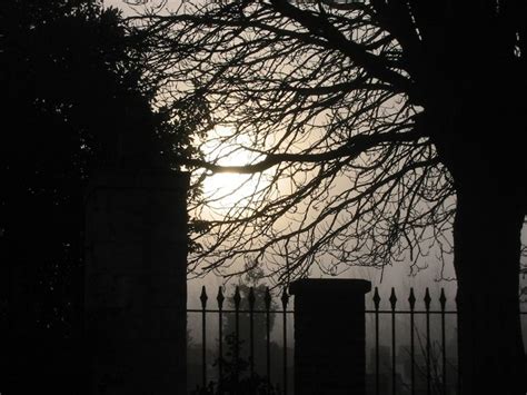Misty Cemetery Cemetery Misty All Souls Day