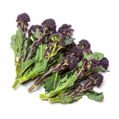 Broccoli Early Purple Sprouting Garden Seeds Market Free Shipping