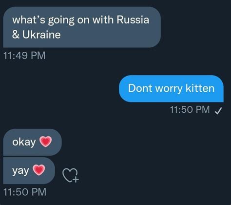 What S Going On With Ukraine Don T Worry Kitten Okay ️ Yay ️ Text Message Meme Okay ️ Yay ️