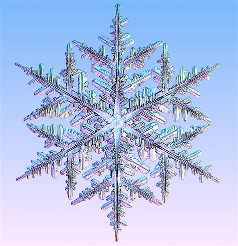 Branchingi0113a331a Snowflakes Real