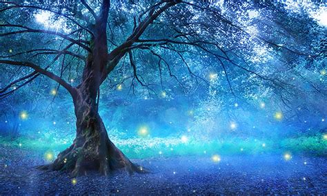 Mystical Forest Wallpapers Wallpaper Cave