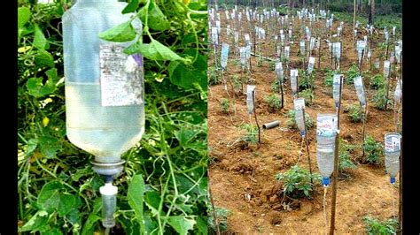 Diy Drip Irrigation For Garden Diy Drip Irrigation Kit Plant Watering