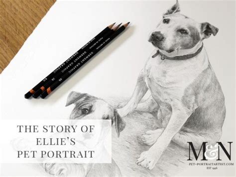 Pencil Drawing Ellie 1 Melanie And Nicholas Pet Portraits
