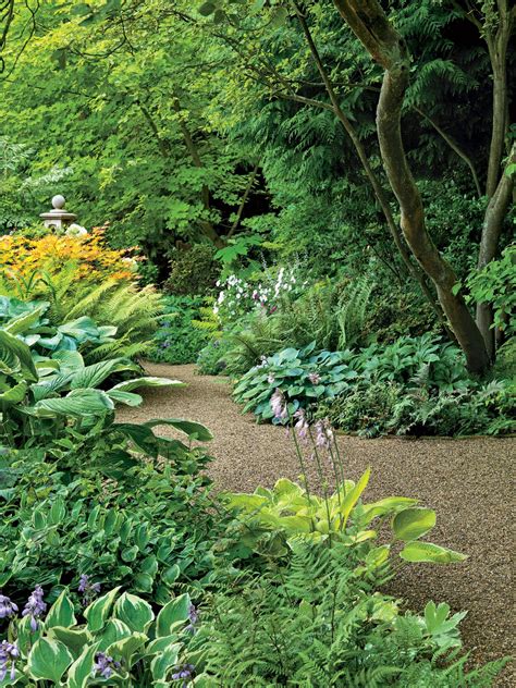 The Grumpy Gardeners Guide To Hostas Shade Landscaping Landscape