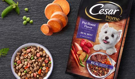 The best dog food promotes healthy bones, teeth, and coats and has a delicious flavor to ensure dogs always come back for more. Only 2 of 10 Best-Selling Pet Food Brands Never Recalled