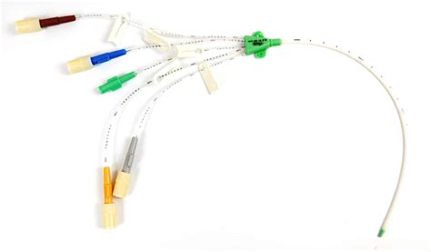 Choosing The Right Catheter Buying Guides Medicalexpo