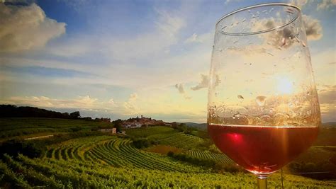 Uou Konzorcij Zapuščenih Vinogradov Winery In Primorska