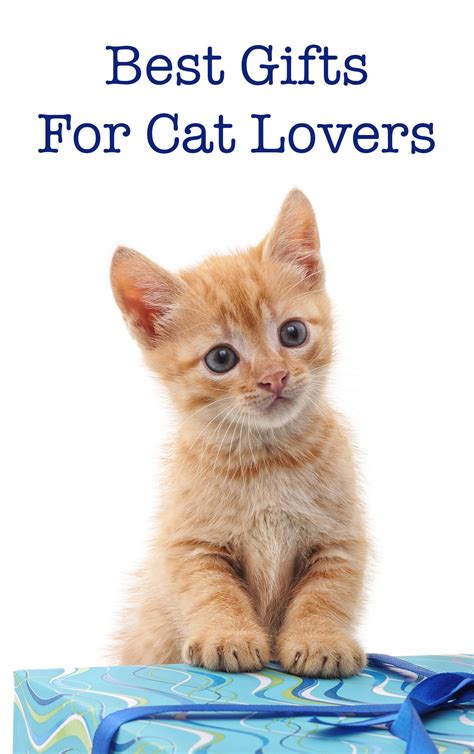 We did not find results for: Best Gifts For Cat Lovers - For Any Budget And Every Style