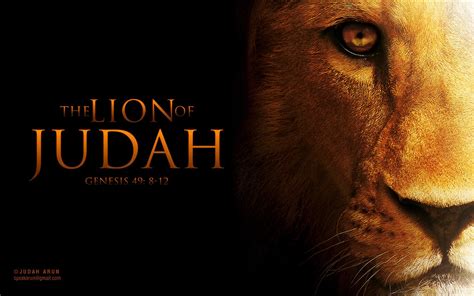 Lion Of Judah Genesis 498 12 Judah Arun Flickr