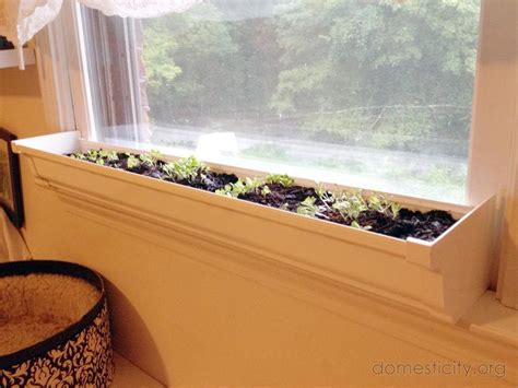 Windowsill Garden Diy Window Sill Indoor Window Planter Indoor Window