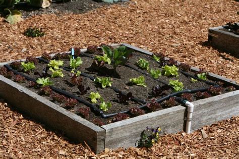 24 Fantastic Backyard Vegetable Garden Ideas Backyard