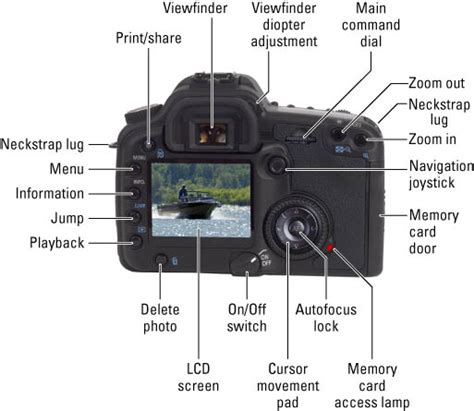 Digital Slr Camera Controls On The Back Dummies