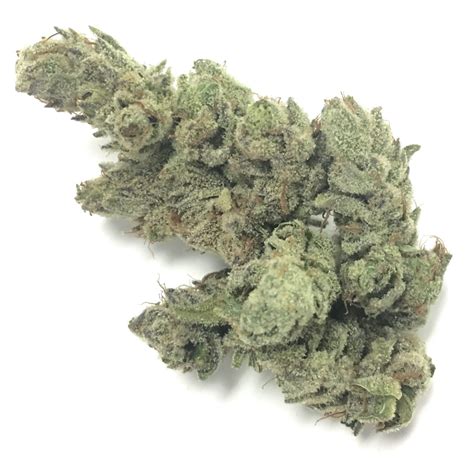 Gorilla Glue 4 By Medizin Vegas Cannabis Magazine