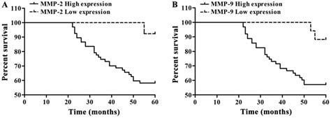 The Relationship Between Mmp 2 And Mmp 9 Expression Levels With Breast