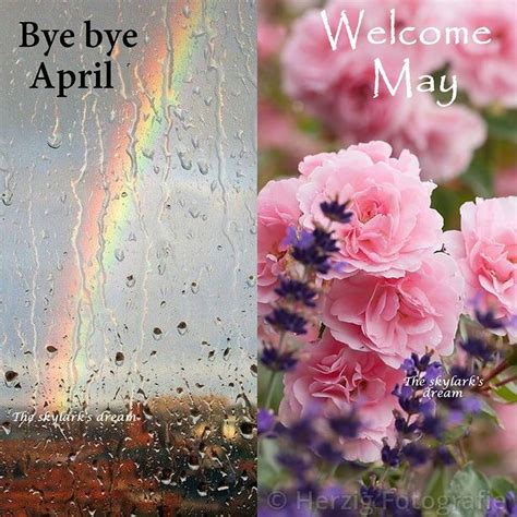 Goodbye April Hello May ️ New Month Wishes Welcome May Hello May