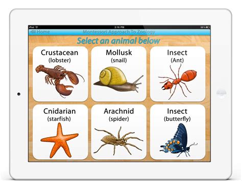 Parts Of Animals Invertebrates Kids App Science Apps Animals