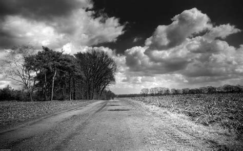 Road Country Black And White Wallpaper 1440x900