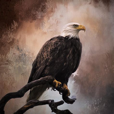 Looking Forward Eagle Art Painting By Jordan Blackstone Pixels