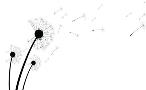 Download Dandelion Seed Clip Art, Vector Images & Illustrations ...