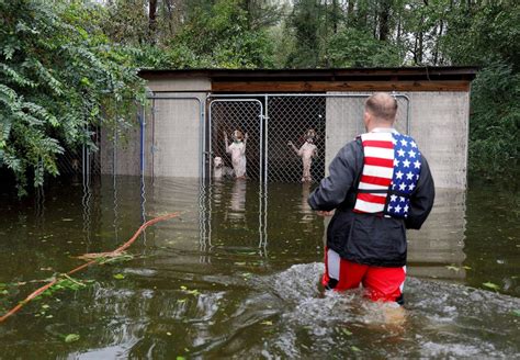 Hurricane Florence Pet Rescues In Photos The Atlantic