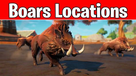 Where To Find Boars In Fortnite Best Boar Spawn Locations How To